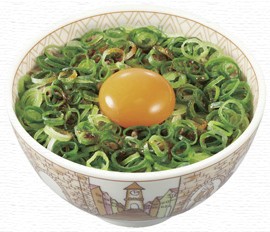 ねぎ玉牛丼.jpg