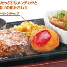 ハンバーグ&メンチカツと塩だれチキン.jpg