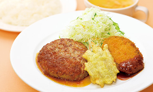 ハンバーグ和風ソース&ごぼうつくね天ぷら&なす味噌フライ.png